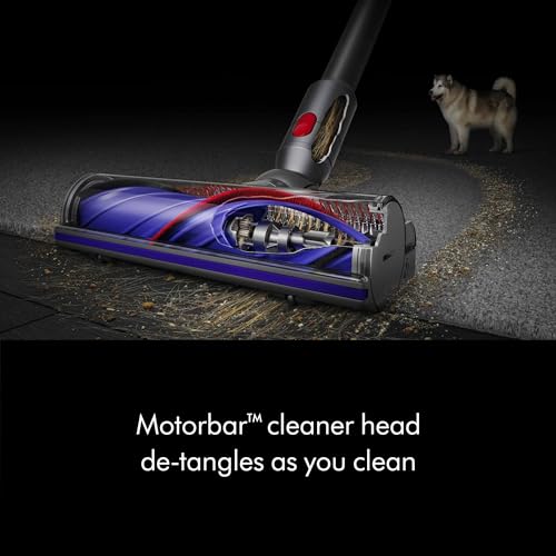 Best Dyson For Wood Floors
