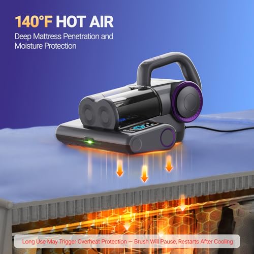 Best Bed Bug Vacuum Cleaner