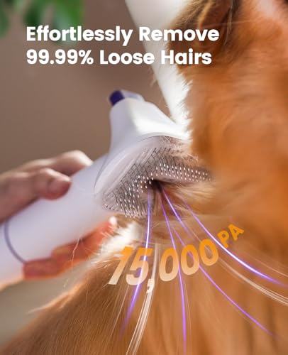Best Deshedding Vacuum For Dogs
